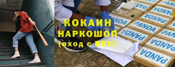 прущие грибы Алексин