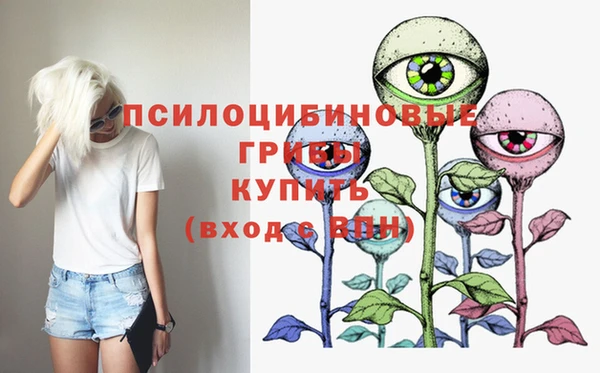 гидра Осинники